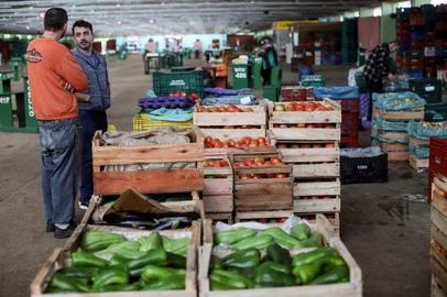 PORTO ALEGRE, RS, Brasil, 17.07.24: Como está a Ceasa com 1 mês de sua reinauguração após a enchente. Fotos: Duda Fortes / Agencia RBS<!-- NICAID(15816408) -->
