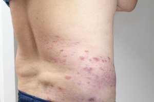 PlataRoncallo / stock.adobe.com