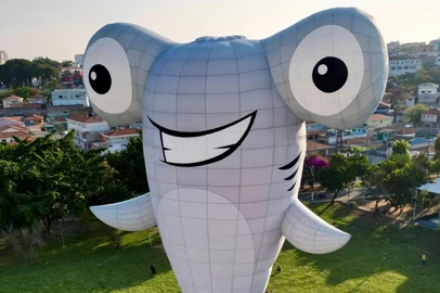 O projeto infantil o Tubarão Martelo está prestes a realizar um feito inédito no universo do balonismo. A marca, criada por Cláudio Fraga, anuncia o lançamento de seu balão em formato de tubarão-martelo, o primeiro do mundo. O balão, com 34 metros de altura e 29 metros de largura, faz sua estreia mundial sendo uma das grandes atrações do 35º Festival Internacional de Balonismo de Torres, no Rio Grande do Sul, que acontece de 1 a 4 de maio. Depois, segue para outros festivais de balonismo internacionais em Taiwan (julho), Albuquerque (outubro), Leon - Mexico (novembro) e Qatar (dezembro).<!-- NICAID(16026336) -->