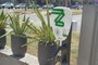 A Zletric, empresa gaúcha especializada em recarga para veículos elétricos, inaugurou 10 novos pontos no país. Na foto: posto da praia de Atlântida <!-- NICAID(14999569) -->
