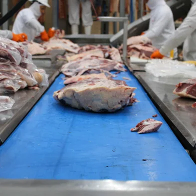 Frigorífico gaúcho envia primeiro lote de carne angus certificada para ilhas Maldivas<!-- NICAID(15705771) -->
