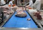 Frigorífico do RS exporta primeiro lote de carne angus certificada para as Maldivas