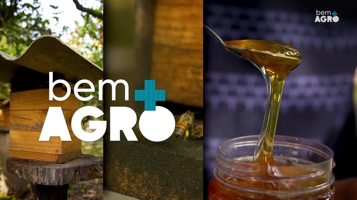 Mel é Bem+ Agro | GZH