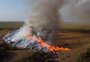 Incêndios florestais na América do Sul provocam recordes de emissões de carbono, diz observatório europeu