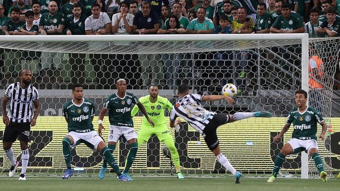 Cesar Greco / Palmeiras/Divulgação Cesar Greco / Palmeiras/Divulgação