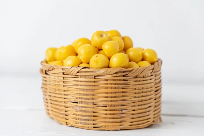 JRomero04 / Shutterstock | Portal EdiCase JRomero04 / Shutterstock | Portal EdiCase