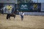 Esteio, RS, Brasil, 04/09/2022 - Vencedor do Freio de Ouro, cavalo da raça masculina Colibri Matrero na Expointer 2022 - Foto: Jefferson Botega/Agência RBSIndexador: Jeff Botega<!-- NICAID(15196571) -->