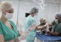 Medicina Veterinária ganhou 17 graduações no RS nos últimos 10 anos