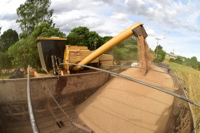 Diogo Zanatta / Especial Diogo Zanatta / Especial