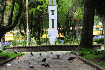 CAXIAS DO SUL, RS, BRASIL, 18/12/2021. Ambiental da Praça da Bandeira, em São Pelegrino. Fotos gerais do estado da praça. (Porthus Junior/Agência RBS)<!-- NICAID(14971806) -->