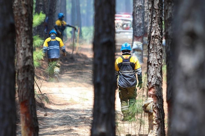 Incendio Na Fronteira Com A Argentina E Avistado Na Regiao Central De Sao Borja Bombeiros Gauchos Auxiliam No Combate As Chamas Gzh