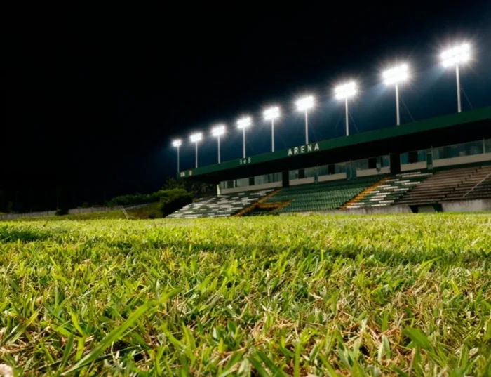 SC Gaúcho, Divulgação