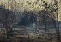 Em dois dias, São Paulo registra mais de 2,3 mil incêndios