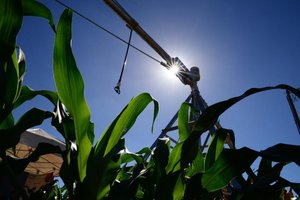 Diogo Zanatta / Especial Diogo Zanatta / Especial