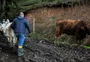 Mais da metade dos agricultores familiares não pretende investir na propriedade, aponta pesquisa