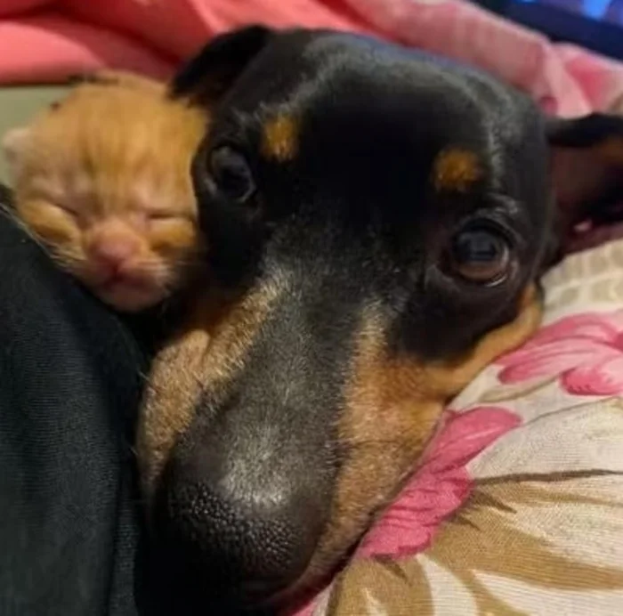 Bianca Gonçalves / Arquivo Pessoal