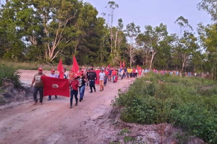MST / Divulgação