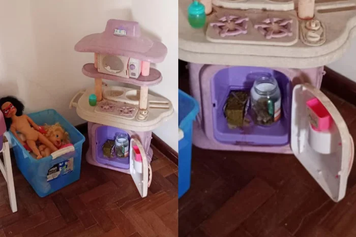 Polícia Civil / Divulgação