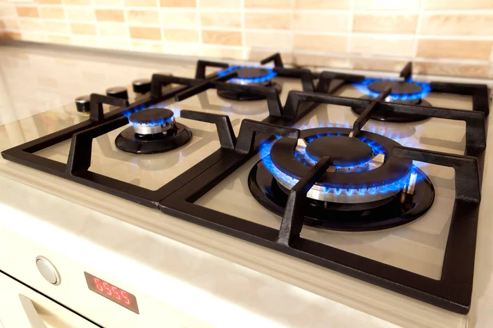 Reprodução / adobe.stock.com