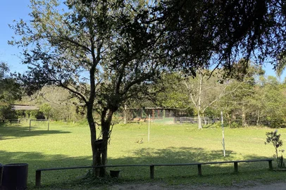 Sítio do Mato<!-- NICAID(14872637) -->