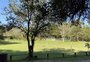 Como fazer turismo rural sem sair de Porto Alegre 