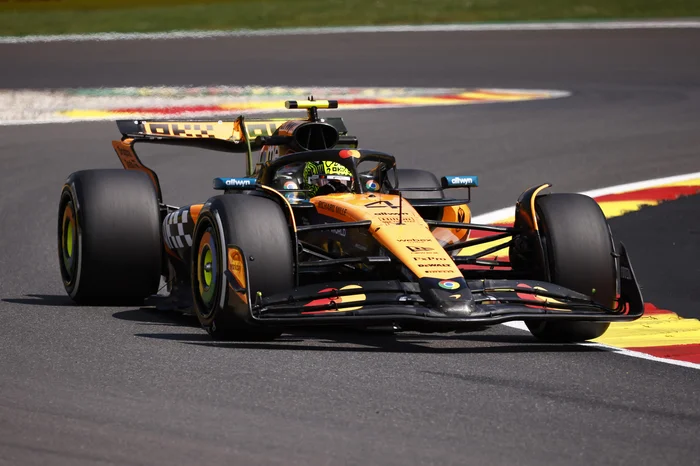 SIMON WOHLFAHRT / AFP