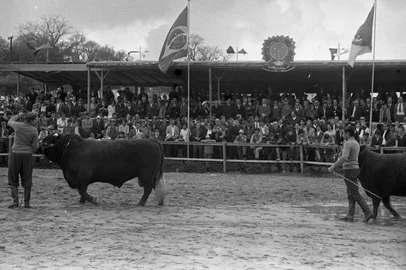 Inauguração da Exposição de Animais em novo local, sendo também e inauguração do novo parque com a presença do Ministro da Agricultura Luiz Fernando Cirne Lima.-Inaugurado dia 29/08/1970 o novo "Parque Estadual de Exposições Menino Deus", em Esteio.OBS: em 1977 o Parque de Esteio recebe nova denominação, sendo Parque Estadual de Exposições Assis Brasil.-XXXIII Exposição Estadual de Animais, de 29 de agosto a 1 de setembro de 1970, no Parque Estadual de Esteio, antiga fazenda Kroeff, em Esteio, RS.obs: em 1972 foi realizada a 1ª Exposição Internacional de Animais denominada EXPOINTER. -#ENVELOPE: 67554<!-- NICAID(16109173) -->