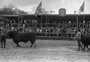 Leandro Staudt: Inaugurado em 1970, veja como era o parque de exposições de Esteio