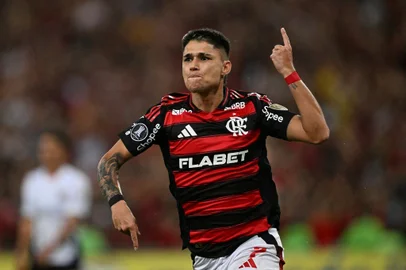 Luiz Araújo, futebol, Flamengo
