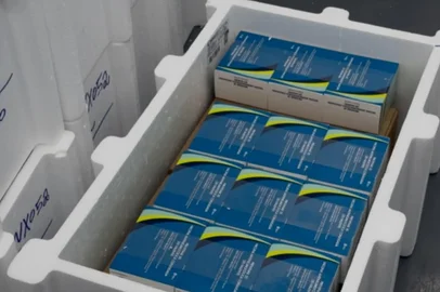 Estado começa a distribuir nova versão da vacina Pneumocócica 20-valente para aplicação em unidades de saúde. Nova atualização protege contra mais sorotipos da bactéria causadora da pneumonia e meningite. <!-- NICAID(16308279) -->