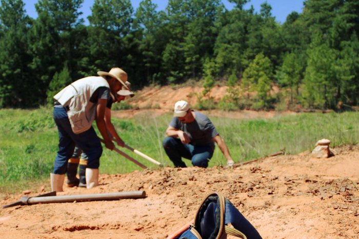 Janaína Brand Dillmann / Divulgação Janaína Brand Dillmann / Divulgação