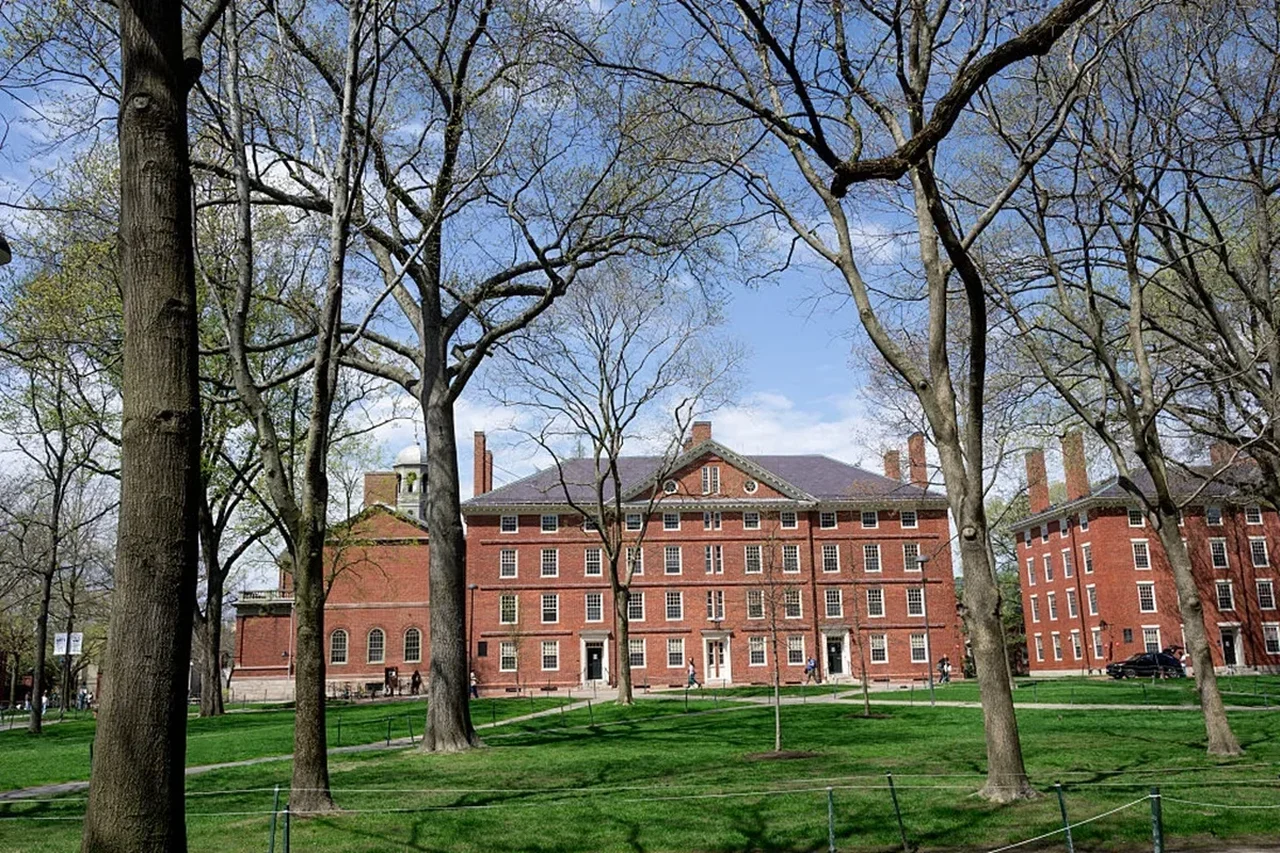 Reprodução/Internet