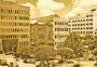 Um símbolo prestes a surgir nos anos 1950