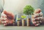 Parceria entre fintech e cerealistas cria alternativa de crédito privado