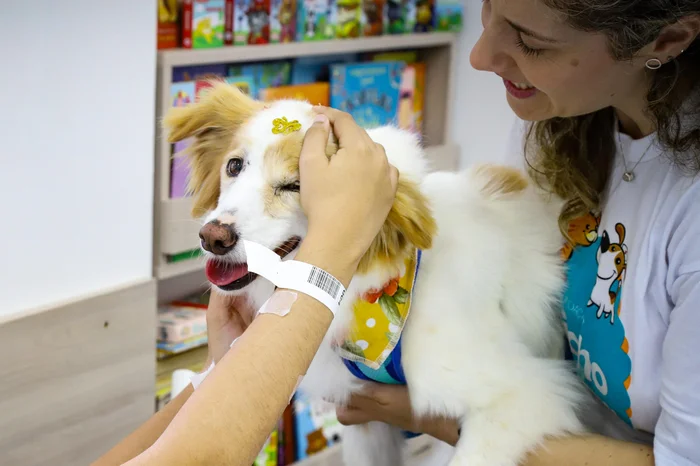 Cristine Rochol / PMPA / Divulgação