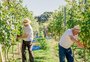 Altos Montes, onde a cultura do vinho prospera em meio à paisagem exuberante de montanhas e vales