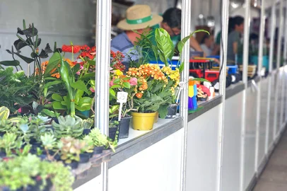 Feira Origem do Campo em Passo Fundo<!-- NICAID(16139593) -->