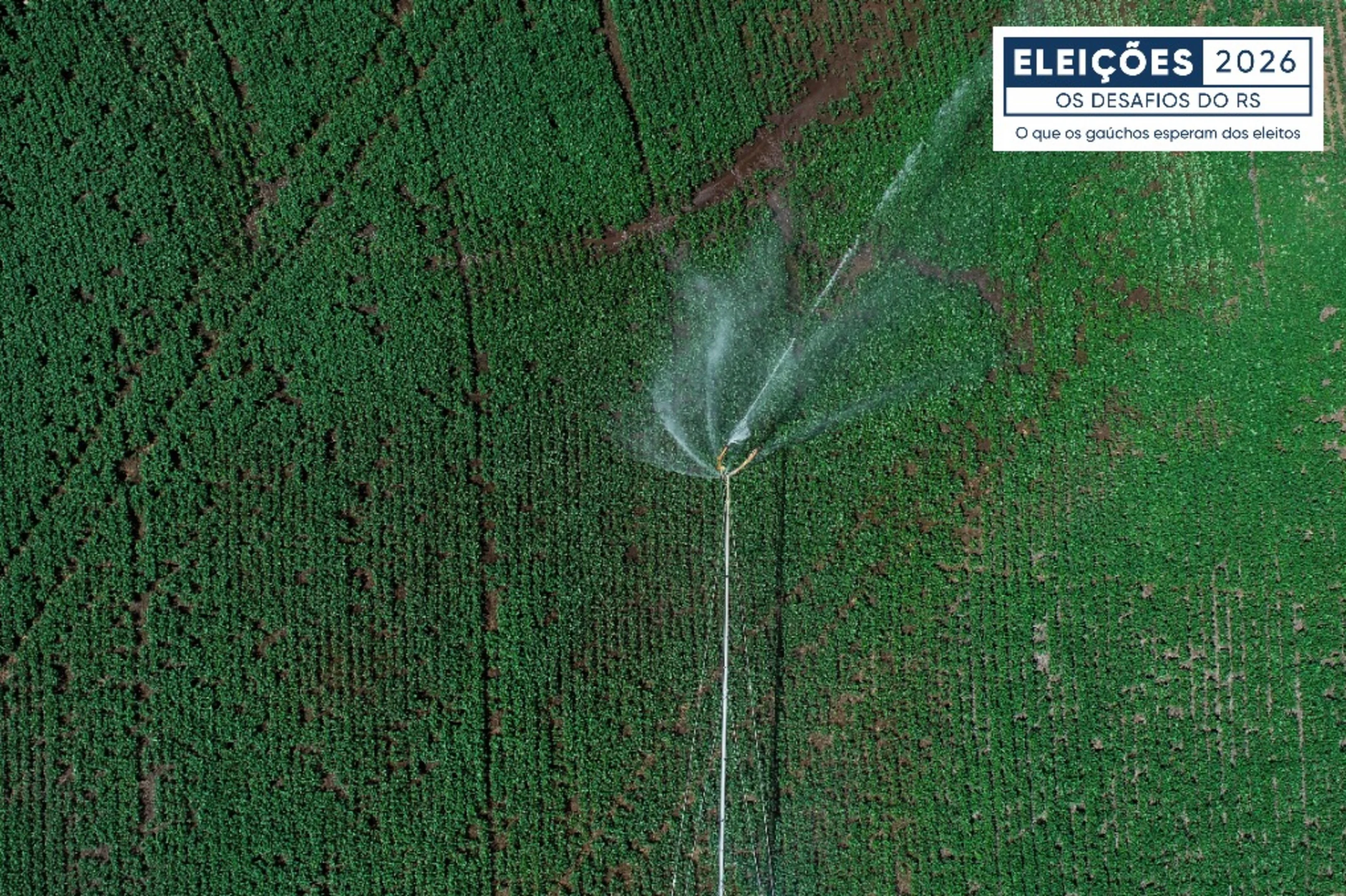 Irrigação, endividamento e adaptação ao clima: os desafios do Rio Grande do Sul no agronegócio  | GZH