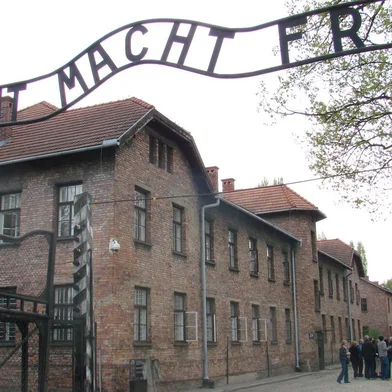 Auschwitz<!-- NICAID(5572481) -->