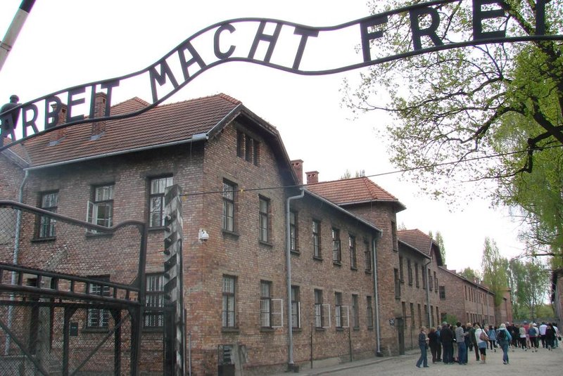 Auschwitz<!-- NICAID(5572481) -->