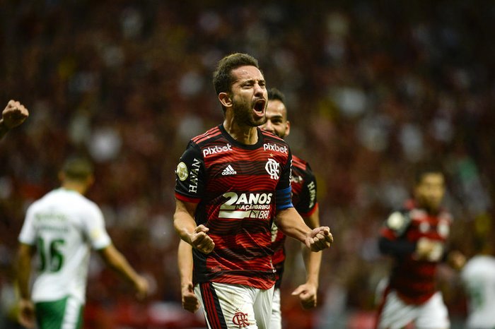 Marcelo Cortes / Flamengo / Divulgação Marcelo Cortes / Flamengo / Divulgação
