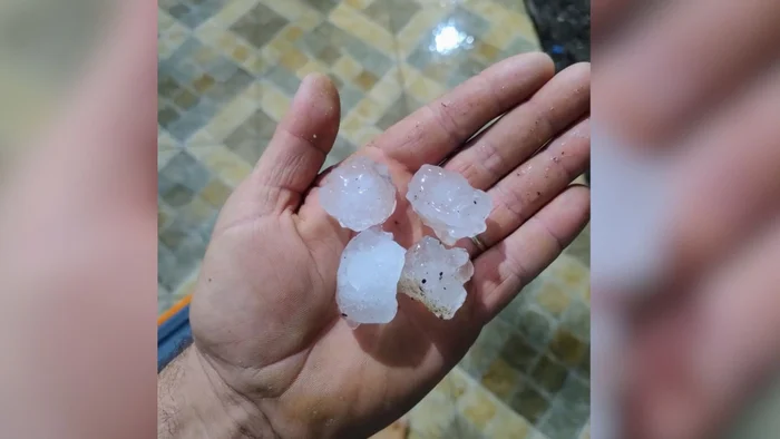 Divulgação