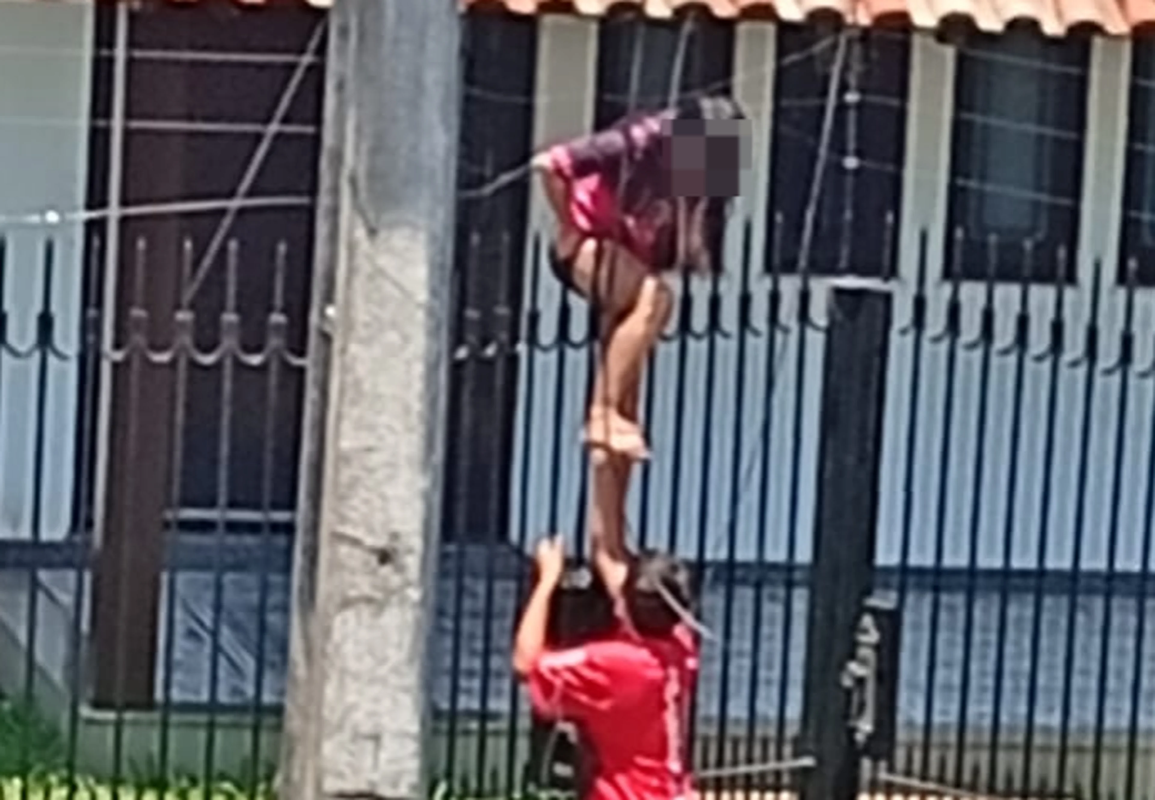 Arquivo pessoal/Arquivo pessoal