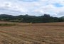 Os sinais que vêm da inflação do agro no RS