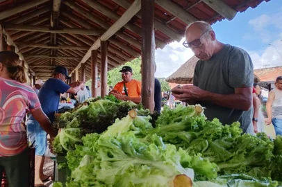 feira do produtor cassino<!-- NICAID(16231082) -->