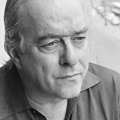 Vinicius de Moraes<!-- NICAID(15701726) -->