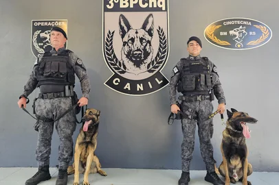 Como é o treinamento do canil do BPChq em Passo Fundo<!-- NICAID(16180948) -->