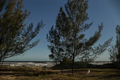 ARROIO DO SAL, RS, BRASIL, 08-01-2026: Veraneio na tranquilidade: Muitos veranistas buscam praias de menor movimentação, longe de destinos mais badalados do litoral norte. Quatro praias menos movimentadas que pertencem a Torres e Arroio do Sal são opções para os primeiros meses do ano.  Já as praias Azul e Rondinhas, que pertencem à Arroio do Sal, sequer tem calçadão. Contam com pouca insfraestrutura, mas ainda sim são destino de quem busca o sossego. Na imagem, o sossego da Praia Paraíso em um final de tarde. Foto: Renan Mattos / Agência RBS<!-- NICAID(16200855) -->