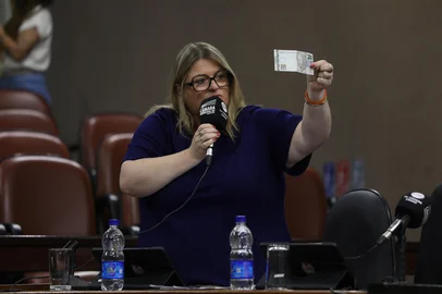 Augusto Martins / Divulgação Vereadora Sandra Bonetto (Novo) diz que vai pagar comparecimento de assessores em jantar de assinatura de PPP da Educação Infantil<!-- NICAID(16183412) -->