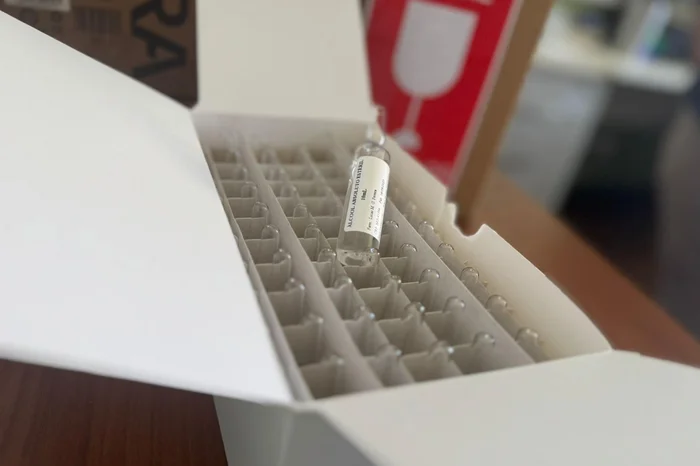 Carolina Zeni / PMPA Carolina Zeni / PMPA